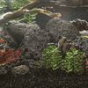 Product Thumbnail Image 2 of 5