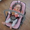 Baninni Baby Bouncer Admiro Pink and Grey