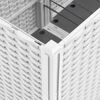 Product Thumbnail Image 6 of 8