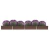 Product Thumbnail Image 2 of 6