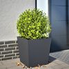 Product Thumbnail Image 2 of 10