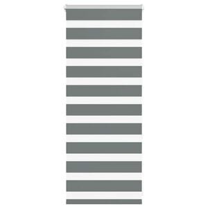 vidaXL Zebra Blind Dark Grey 60x100 cm Fabric Width 55.9 cm Polyester