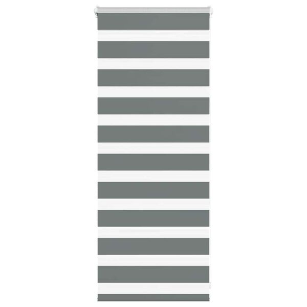 vidaXL Zebra Blind Dark Grey 60x100 cm Fabric Width 55.9 cm Polyester