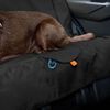 Kurgo Dog Bench Seat Cover Wander Black