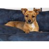 Scruffs & Tramps Dog Bed Kensington Size L 90x70 cm Navy