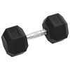 vidaXL Dumbbells 2 pcs 25 kg Total Cast Iron