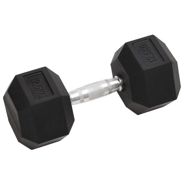 vidaXL Dumbbells 2 pcs 25 kg Total Cast Iron