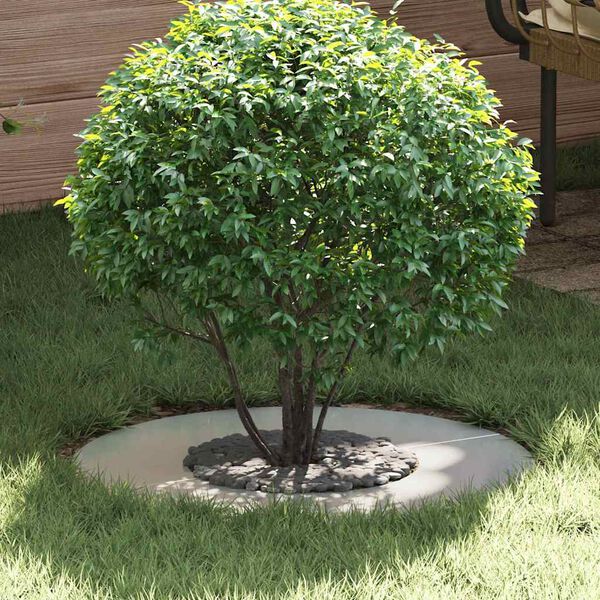 Showing Product Image 2 of 9