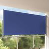 vidaXL Patio Retractable Side Awning 160x300 cm Blue
