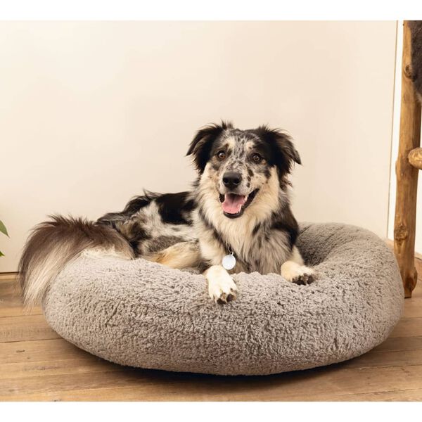 Beeztees Dog Bed Memory Foam Jaxx 50x20 cm Grey