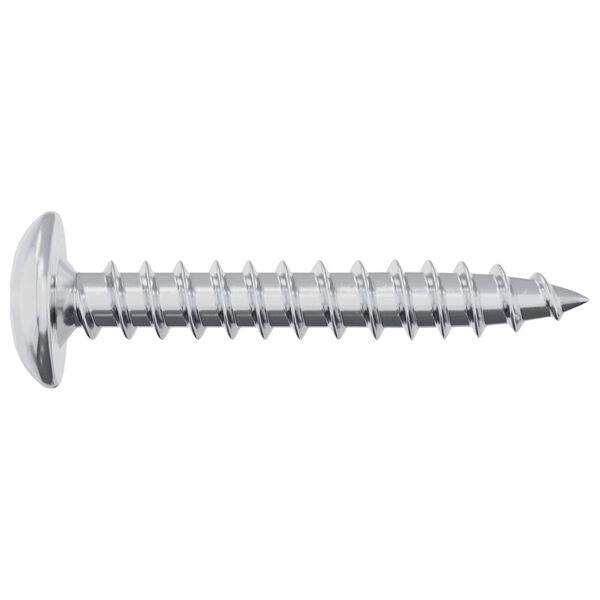 vidaXL Wood Screws 2 pcs Silver M4 x 25 mm Steel