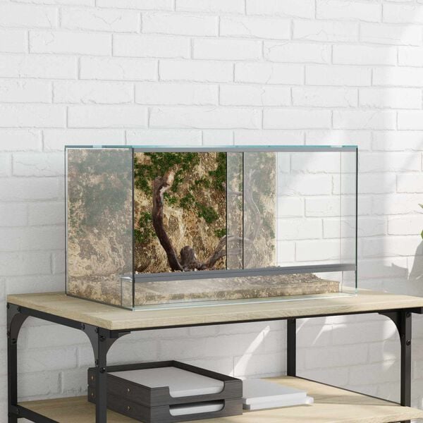 vidaXL Terrarium with Storage Transparent 50 x 30 x 30 cm Glass