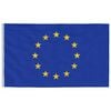 vidaXL Europe Flag and Pole 5.55 m Aluminium