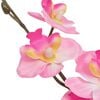 Product Thumbnail Image 2 of 2