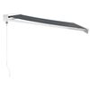 vidaXL Retractable Awning Anthracite 3x2.5 m Fabric and Aluminium