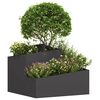 Product Thumbnail Image 3 of 12