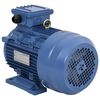 vidaXL 3 Phase Electric Motor Aluminium 4kW/5,5HP 2 Pole 2840 RPM