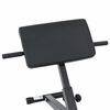 vidaXL Hyperextension Bench Manual Black 100.5 x 70 x 78 cm