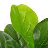 vidaXL Artificial Plant Fiddle Leaves with Pot Green 90 cm
