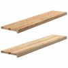 vidaXL Stair Treads 2 pcs Untreated 120x25x2 cm Solid Wood Oak