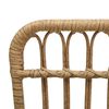 vidaXL Garden Chair Poly Rattan Light Brown