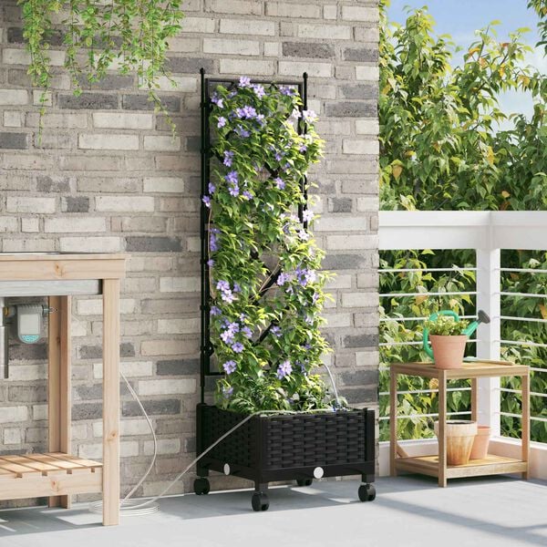 Showing Product Image 2 of 7