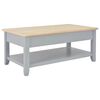 vidaXL Coffee Table Grey 100x55x40 cm Wood