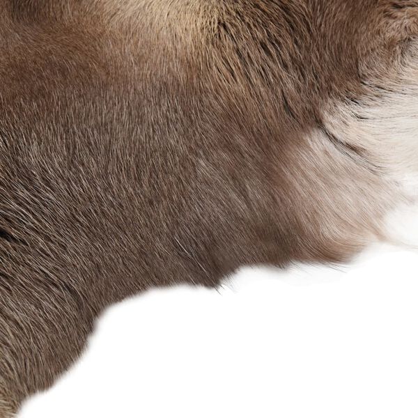 vidaXL Reindeer Skin Mixed Grey 80x130 cm