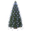 Product Thumbnail Image 4 of 8