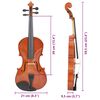 vidaXL Violin Full Set with Bow and Chin Rest Dark Wood 4/4