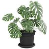 Product Thumbnail Image 3 of 10