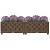 Product Thumbnail Image 7 of 9