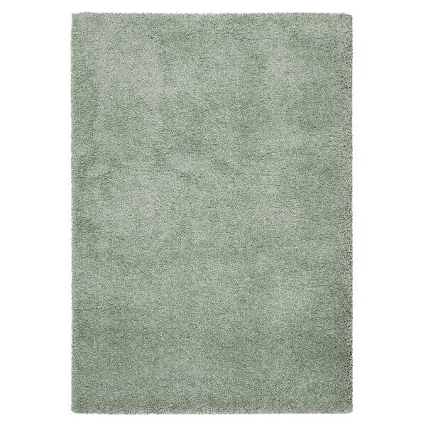 Dutch Lifestyle Rug New York 290x200 cm Green