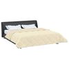 vidaXL Full Year Duvet Cream 220 x 260 cm Microfiber and Teddy fleece