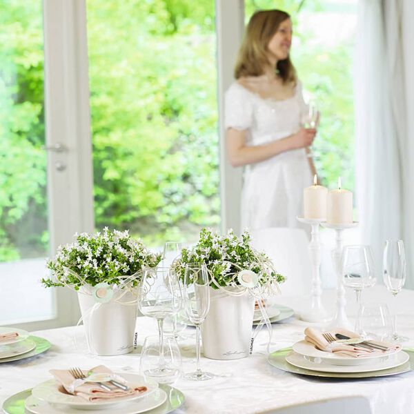 LECHUZA Planter MINI DELTINI ALL-IN-ONE White