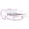 vidaXL Daybed with Trundle&Drawers without Mattress Dark Grey 90x190 cm Single
