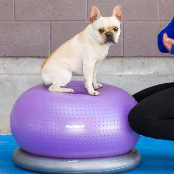 FitPAWS Pet Balance Ball TRAX Donut 55 cm Purple