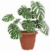 Product Thumbnail Image 3 of 9