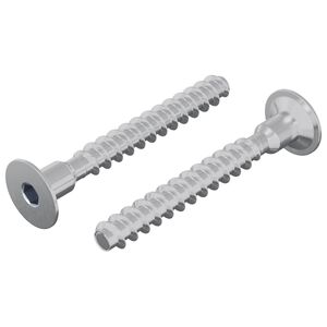 vidaXL Screw 2 pcs Zinc-coated 5 x 40 mm Iron