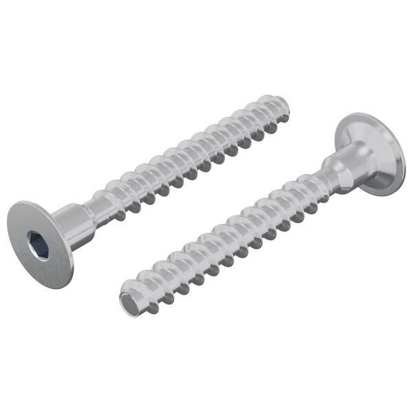 vidaXL Screw 2 pcs Zinc-coated 5 x 40 mm Iron