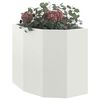 Product Thumbnail Image 3 of 12