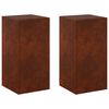 vidaXL Plant Stand 2 pcs Rusty 30 x 30 x 60 cm Weathering Steel