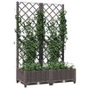 Product Thumbnail Image 7 of 8