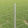 Product Thumbnail Image 4 of 7