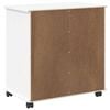 vidaXL Rolling Cabinet White 63.5 x 39 x 65.5 cm Solid Pine Wood