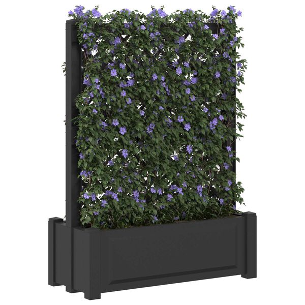 Showing Product Image 2 of 6
