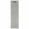 vidaXL Shoe Cabinet Concrete Grey 30x35x100 cm Engineered Wood