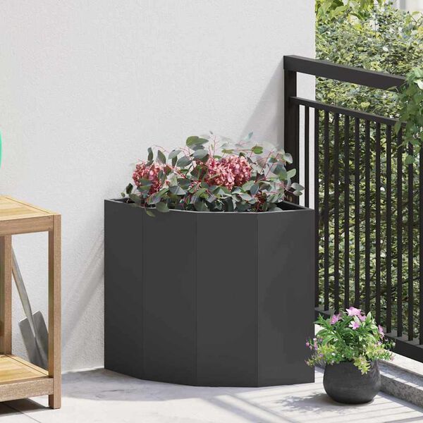 Showing Product Image 2 of 12