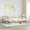 vidaXL Daybed with Trundle and Drawers without Mattress 90x190 cm Single