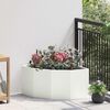 Product Thumbnail Image 2 of 12